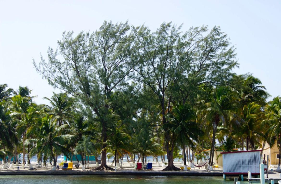 Blue Marlin Beach Resort Dangriga Ngoại thất bức ảnh