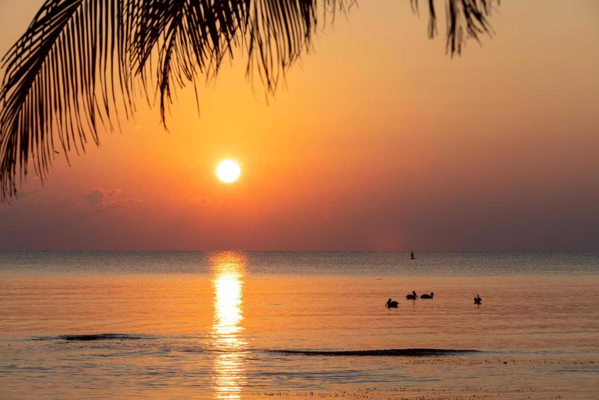 Blue Marlin Beach Resort Dangriga Ngoại thất bức ảnh