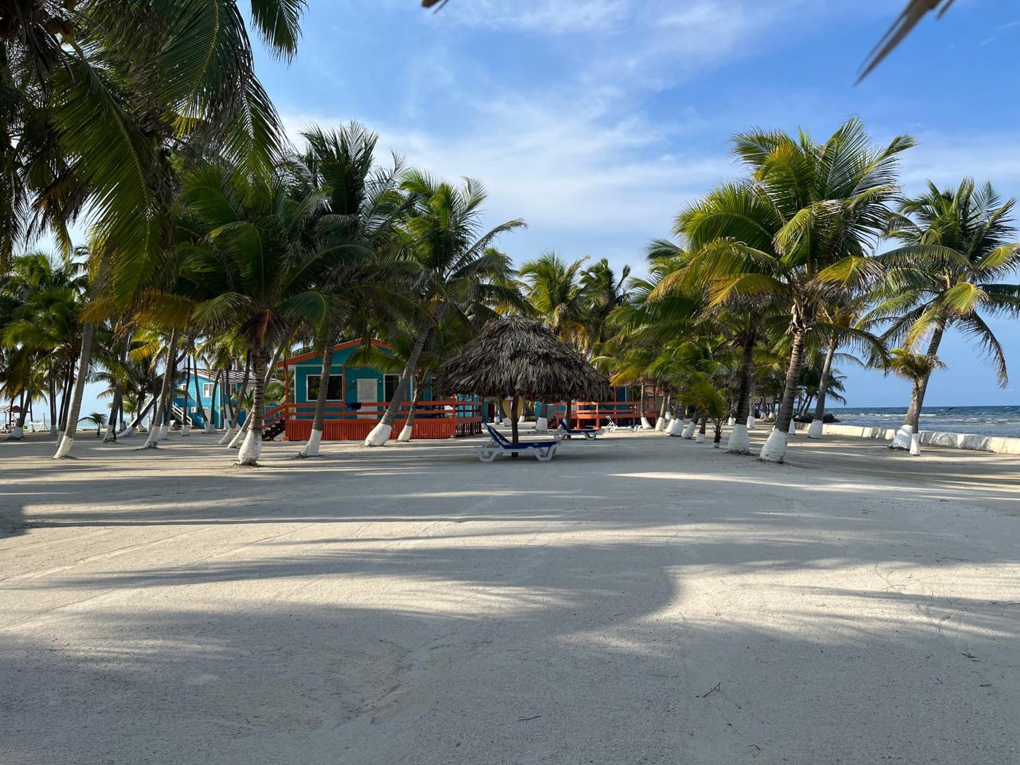 Blue Marlin Beach Resort Dangriga Ngoại thất bức ảnh